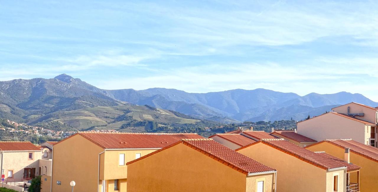 Appartement Lumineux Entre Plage Et Montagne Banyuls-sur-Mer Exterior foto